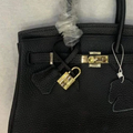 Bag 25 Brk with Gold Fittings